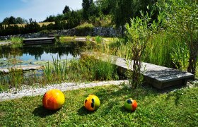 schwimmbiotop2, © C Appartement Wistrcil Stellfeld, Martina Stellfeld