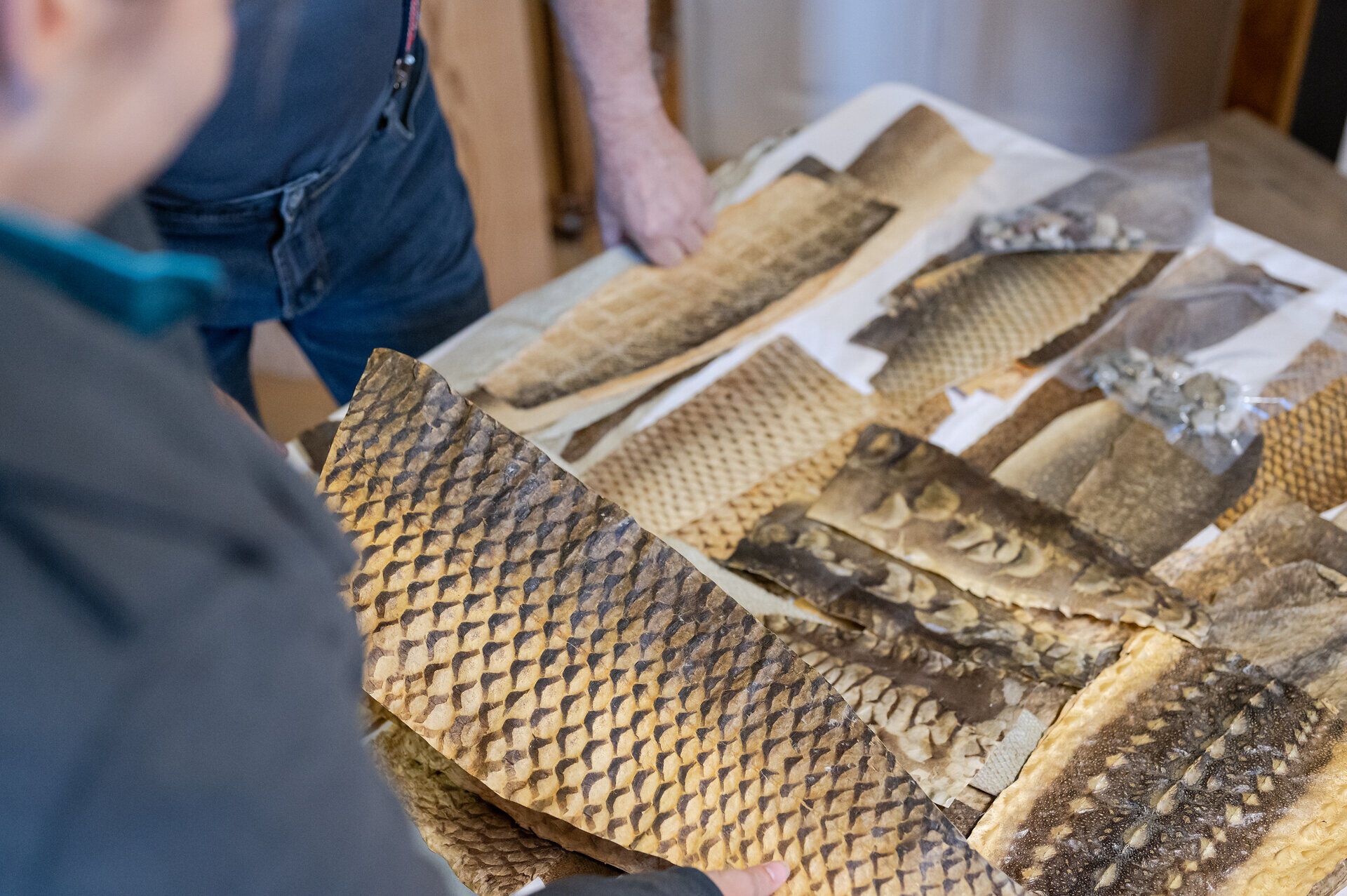 Die kunstvollen Stücke aus Fischleder erzählen von traditionellem Handwerk und der Verbindung zur Natur. Jedes Detail spiegelt die Schönheit und Einzigartigkeit der Region wider, während die sanften Farben und Texturen die Sinne ansprechen. Ein Besuch hier lässt die Herzen von Kunst- und Naturliebhabern höher schlagen.