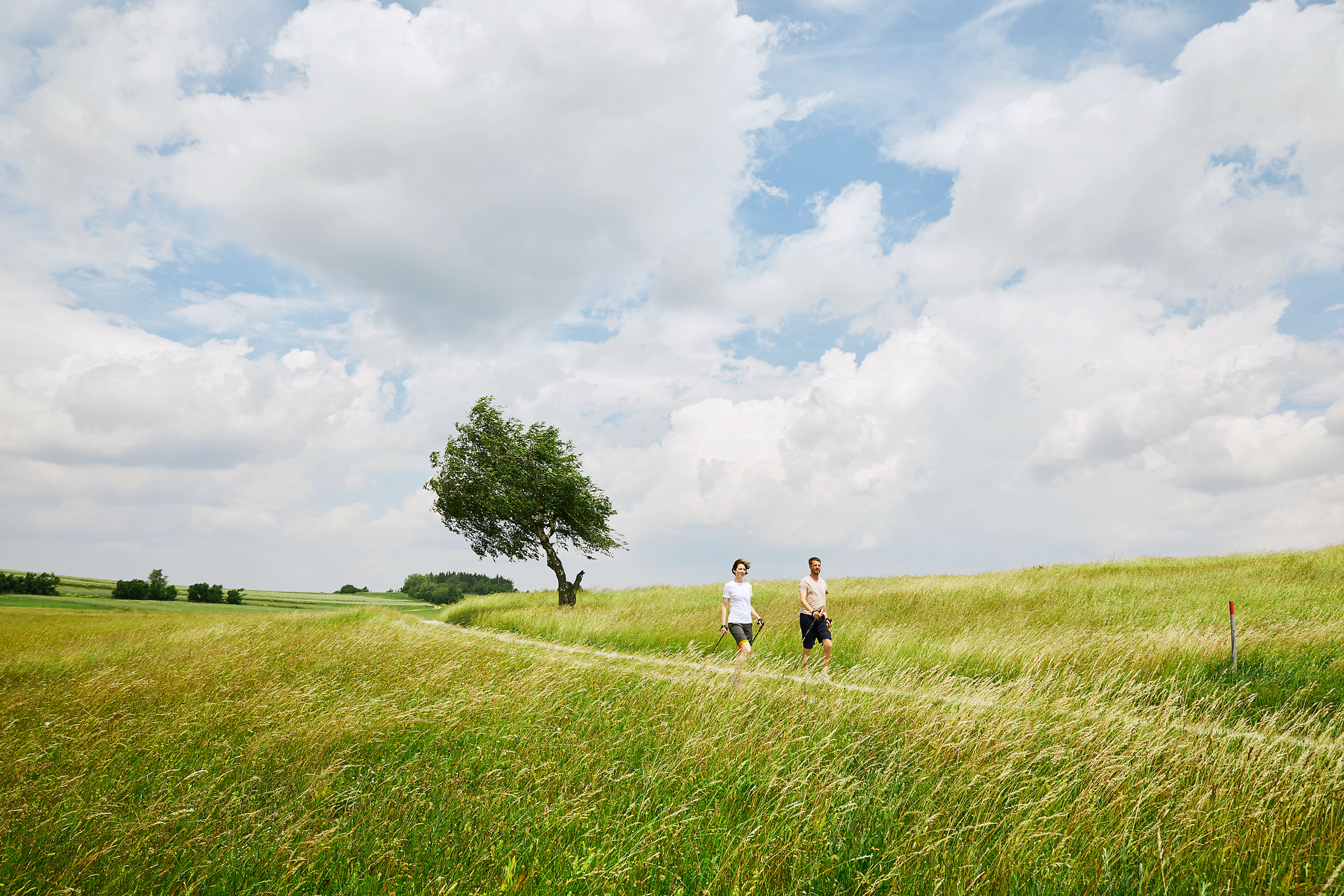 In der sanften Hügellandschaft des Waldviertels schlendern zwei Wanderer durch ein Meer aus grünem Gras, während die Wolken am strahlend blauen Himmel vorbeiziehen. Die frische Luft und die idyllische Umgebung laden dazu ein, die Seele baumeln zu lassen und die Schönheit der Natur zu genießen.