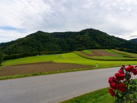 Ausblick von der Kapelle Gerersdorf, © Gottfried Grossinger