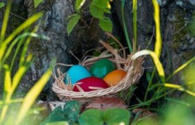 Ostern im Nationalpark, © Thayatal / Andreas Häusler
