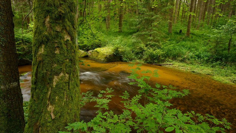 Bärentrail, Kleiner Kamp, Schütt, © Matthias Schickhofer