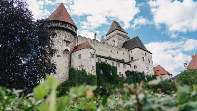 Burg Heidenreichstein mit T&uuml;rmen und bewachsenen Mauern vor blauem Himmel.