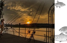 stauseefischen, © Gut Ottenstein