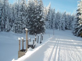 Stifter Teich, &copy; &copy; Gustl Marschall sen.