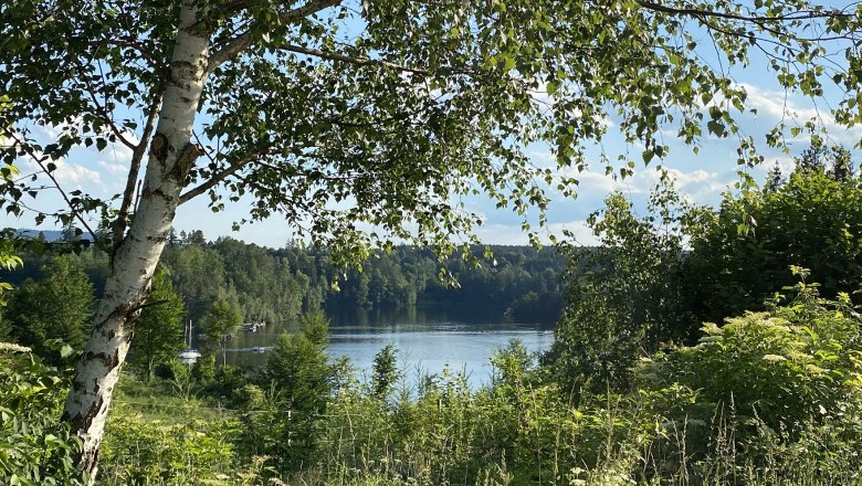 Blick auf den Stausee Ottenstein, © Hofbauer-Hof, Fotograf Josef Hofbauer