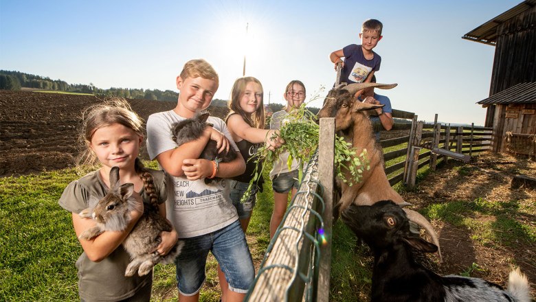 Kinder auf einem Bauernhof mit Kaninchen und Ziegen.