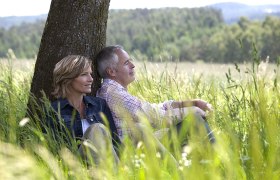 Ein Paar sitzt entspannt an einen Baum gelehnt in einer grünen Wiese.