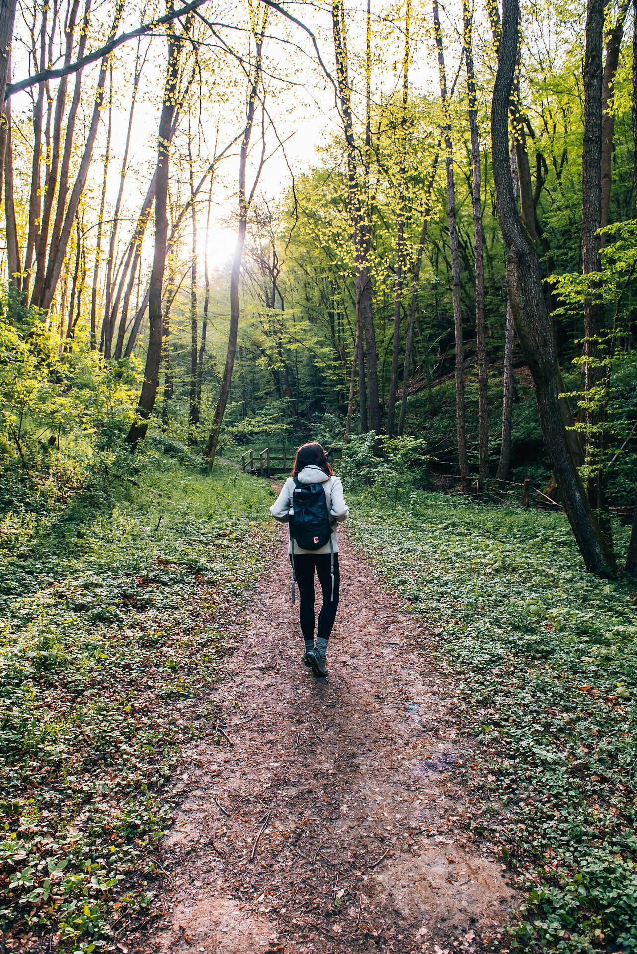 Ein sanfter Pfad schlängelt sich durch das frische, grüne Laub des Waldes, während die warmen Sonnenstrahlen durch die Bäume blitzen. Die ruhige Atmosphäre lädt dazu ein, die Natur in vollen Zügen zu genießen und die Seele baumeln zu lassen.