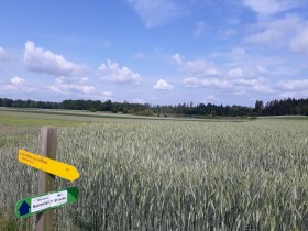 Feld, &copy; Stadtgemeinde Schrems