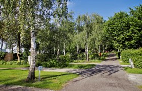 Ein Weg führt durch einen grünen Park mit Birken und anderen Bäumen unter blauem Himmel.