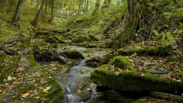 Idyllic Aum&uuml;hl valley with the 'Path of Silence'