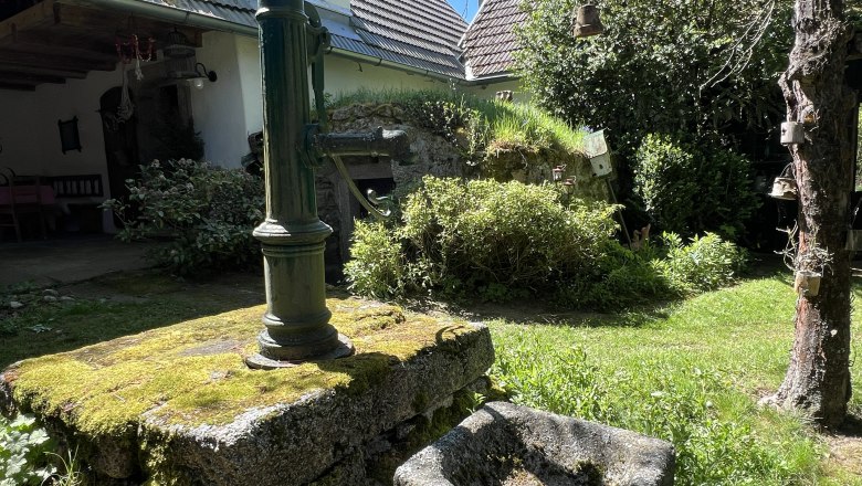 IMG_9538, © Katrin Karall-Semler