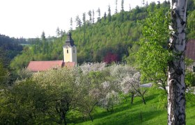 Landschaft mit Kirche, blühenden Bäumen und grünem Hügel.