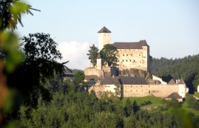 Burg Rappottenstein inmitten eines Waldes bei Tageslicht.