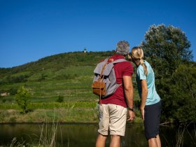 Kamptalwarte am Heiligenstein "Wein- und Wasserrunde", &copy; POV