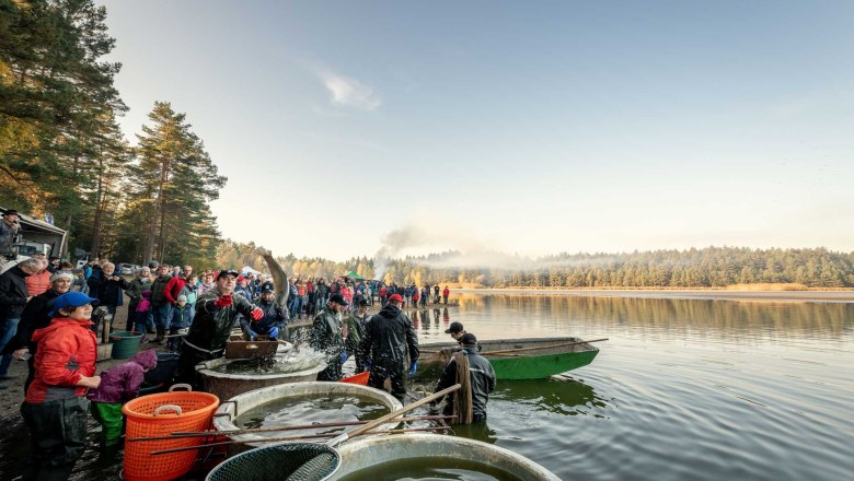 Abfischen im Waldviertel, © Waldviertel Tourismus, Studio Kerschbaum