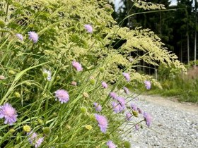 Jauerling-Runde 06: Raxendorf-M&uuml;hldorf, &copy; Wachau Inside