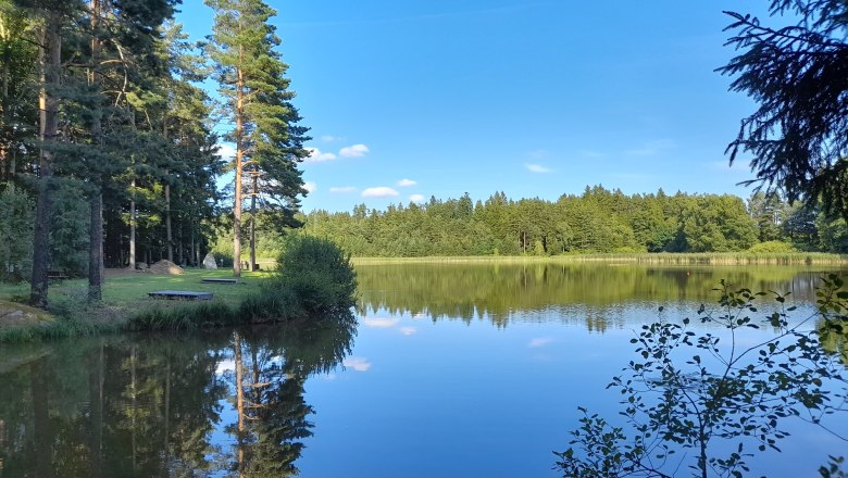 Geißbachteich mitten im Wald, schwimmen, sonnenbaden, fischen etc., © Ferienhaus Leopold