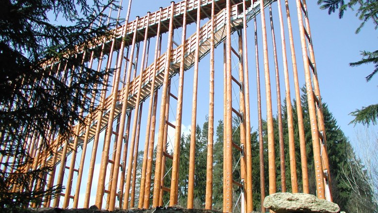 Holzkonstruktion mit Treppe in einem Waldgebiet.