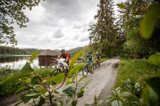 Granittrail, © Waldviertel Tourismus, Erwin Haiden