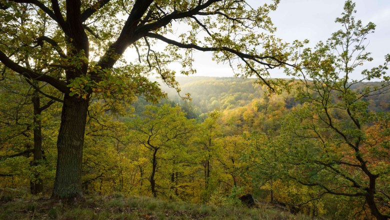 Pulkautal, © Waldviertel Tourismus, Matthias Schickhofer