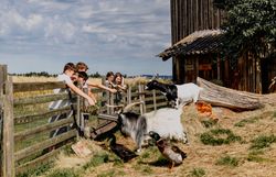 Eine Gruppe von Kindern füttert vom Zaun aus die Ziegen und Enten, die in einem Gehege stehen.