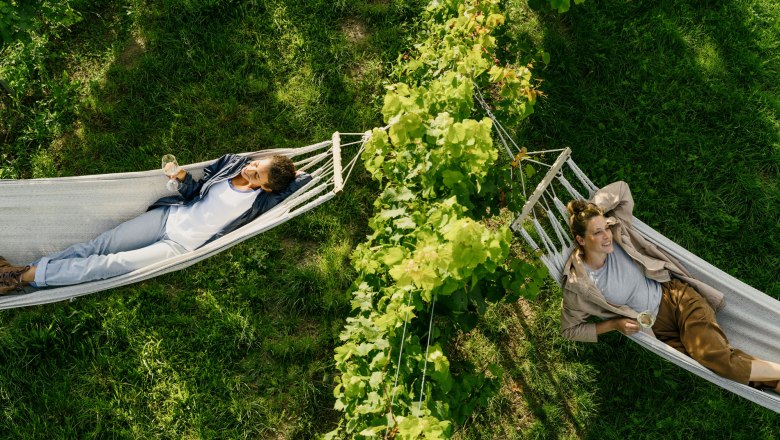 WEINWEG Langenlois, © Niederösterreich Werbung/Julius Hirtzberger