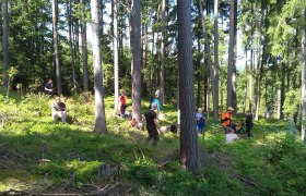 Waldpädagogik Waldviertel, © Waldpädagogik Waldviertel/Roswitha Haghofer
