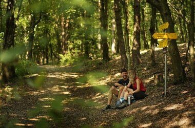 Schattige Wälder, © Waldviertel Tourismus, weinfranz