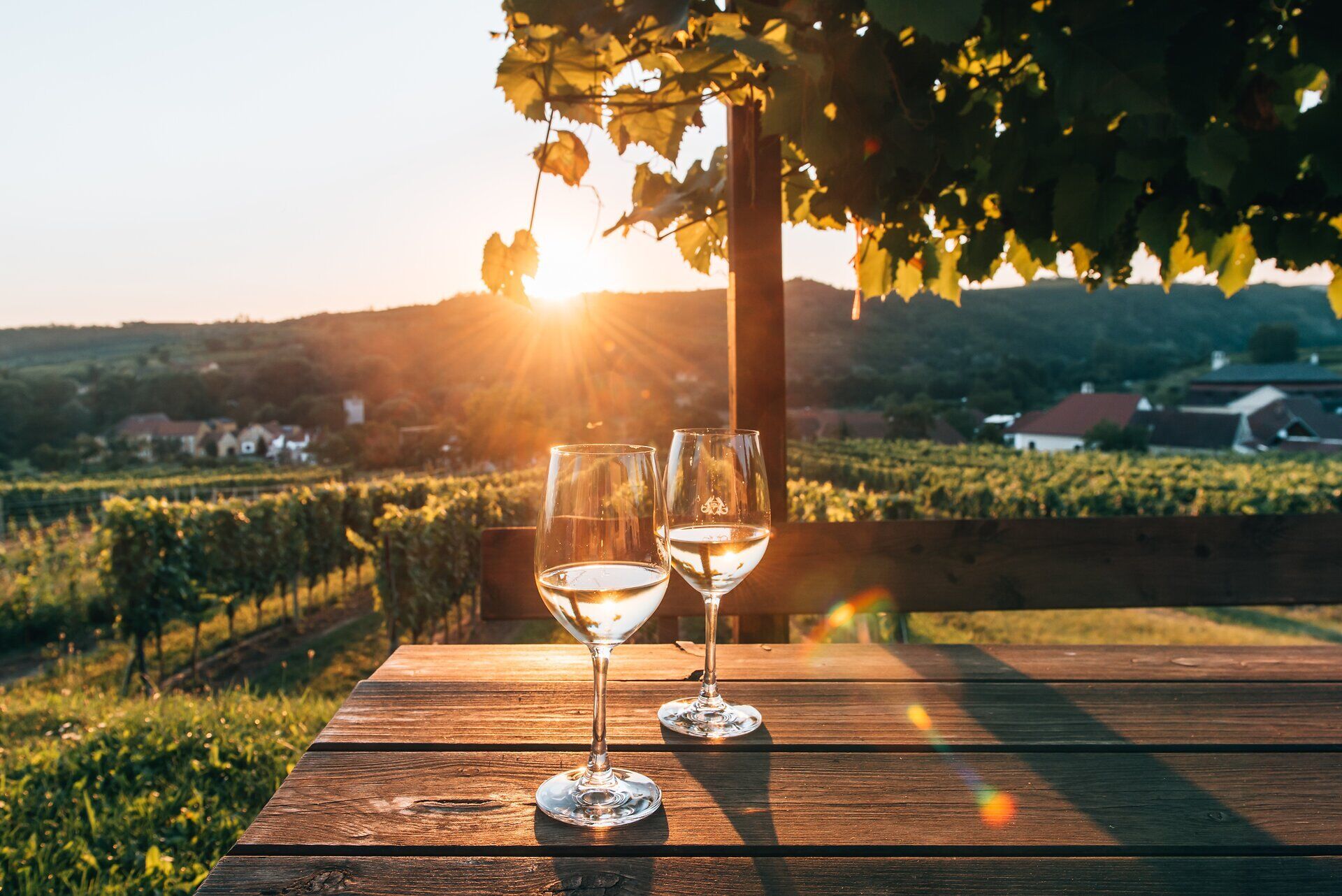 Genießen Sie den Sonnenuntergang über den sanften Hügeln des Kamptals, während zwei Gläser Wein auf einem rustikalen Holztisch stehen. Die goldenen Strahlen der Abendsonne tauchen die Weinreben in ein warmes Licht und schaffen eine Atmosphäre der Entspannung und des Genusses.