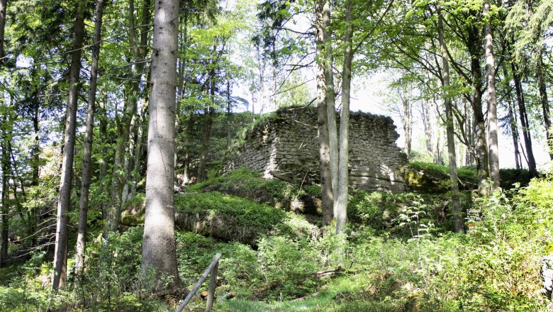 Ruine Weinsberger Wald, © Erwin van Dijk