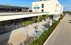 Außenansicht eines modernen Gebäudes mit Terrasse und Pflanzen.