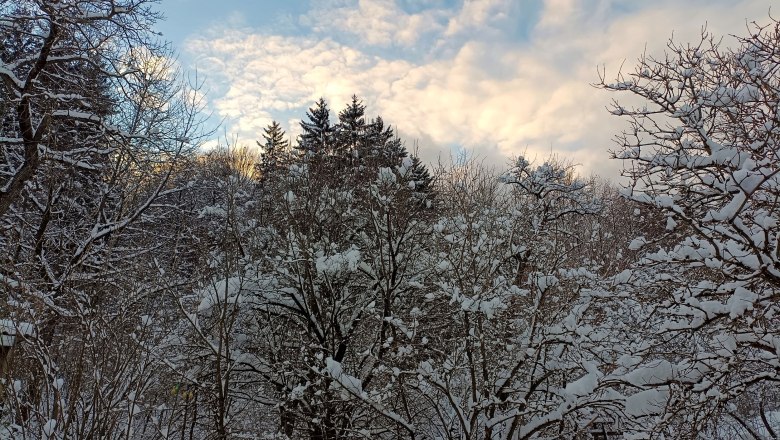 Wunderschöner Winter am 1000Krauthof, © 1000Krauthof