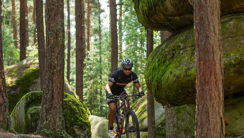 Ein Mountainbiker fährt durch einen Wald mit großen, moosbedeckten Felsen.