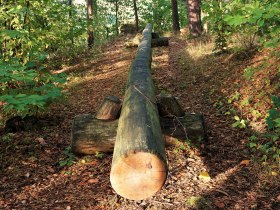 Holztelefon beim Opferstein, © Braun Gottfried