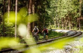 Inmitten der &uuml;ppigen W&auml;lder des Waldviertels radeln zwei Abenteurer entlang der stillen Gleise der Waldviertelbahn. Die sanften H&uuml;gel und das Spiel von Licht und Schatten schaffen eine einladende Atmosph&auml;re, die zum Entdecken einl&auml;dt. Hier, wo die Natur und die Geschichte aufeinandertreffen, wird jede Fahrt zu einem unvergesslichen Erlebnis.