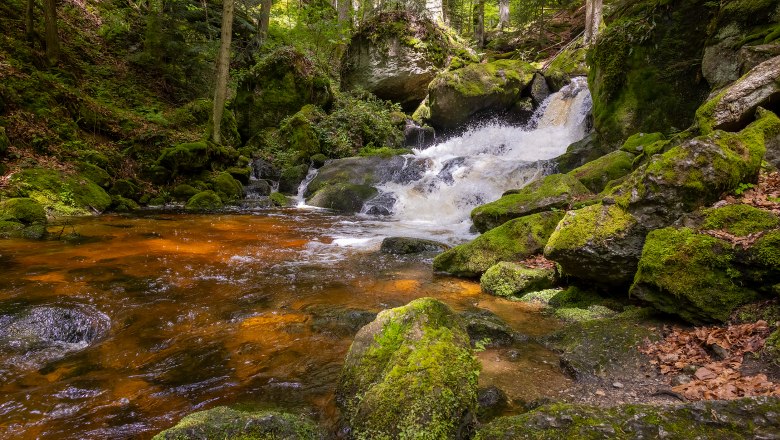 Ysperklamm, © Waldviertel Tourismus, Martin Rehberger