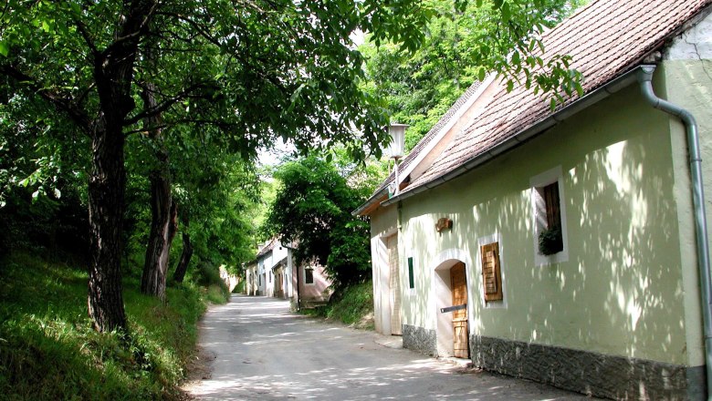 Eine schmale Straße in einer Kellergasse mit Bäumen und alten Gebäuden.