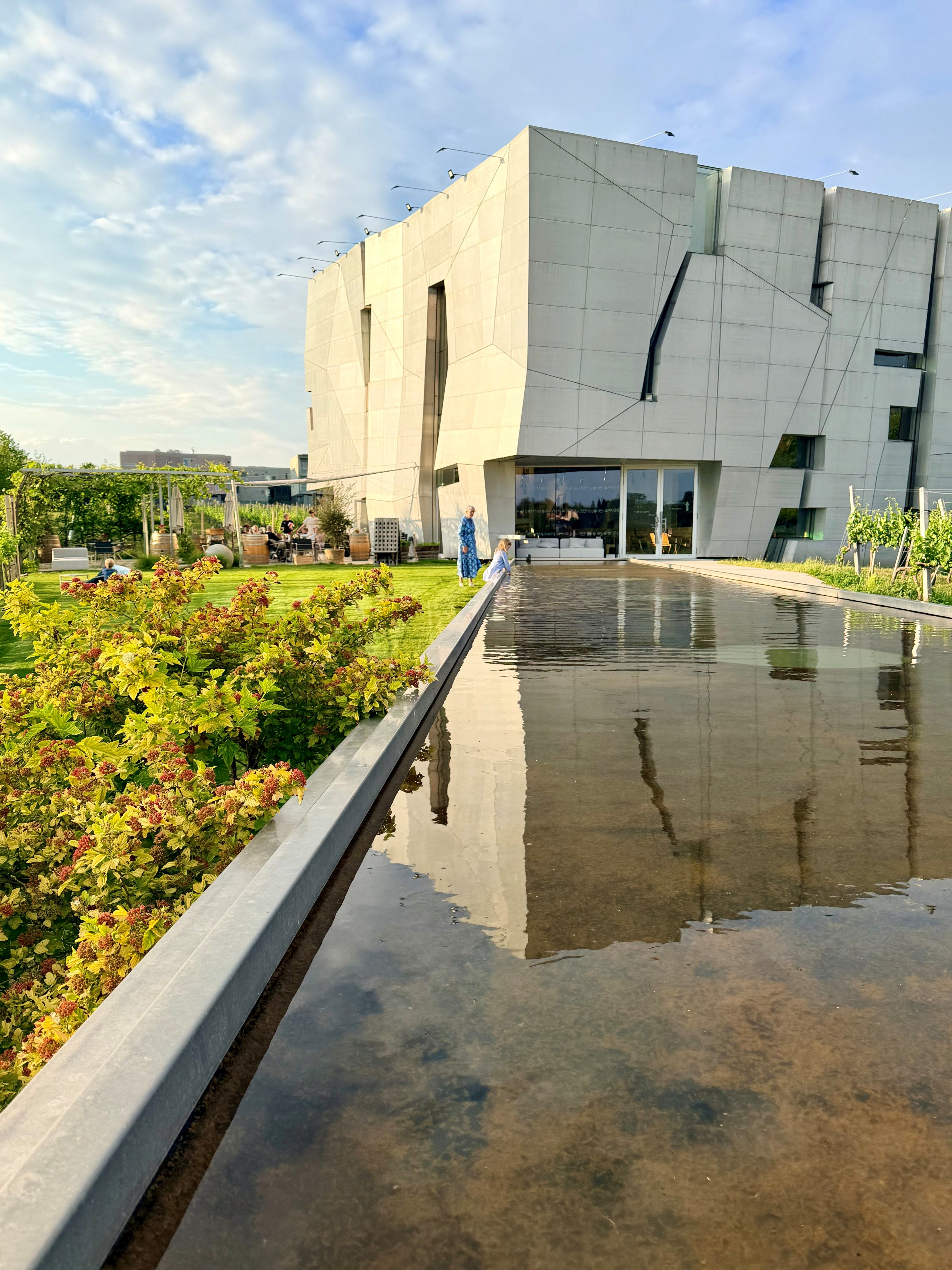 Steininger Weinwelt_Außenansicht mit Wasserspiegelung_quadr. ©Steininger Weinwelt
