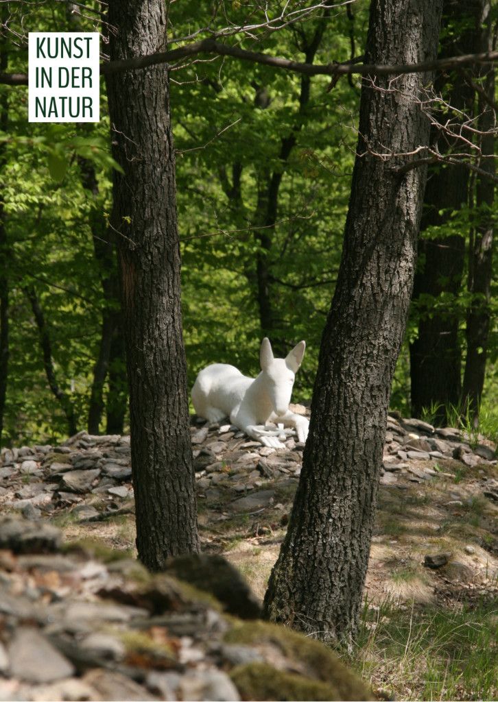 29. Symposium - Brigitte Sasshofer