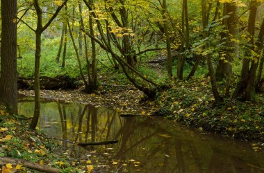 Pulkautal, © Waldviertel Tourismus, Matthias Schickhofer