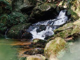 Ein sanft pl&auml;tschernder Bach schl&auml;ngelt sich durch die gr&uuml;ne Landschaft, umgeben von hohen B&auml;umen und moosbedeckten Steinen. Die frische, klare Luft und das beruhigende Ger&auml;usch des Wassers laden zu einer erholsamen Wanderung ein, w&auml;hrend die Sonnenstrahlen durch das Bl&auml;tterdach tanzen.