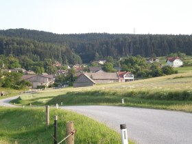 Ausblick auf den Ort Wiesenreith, &copy; Dieter Zeilinger