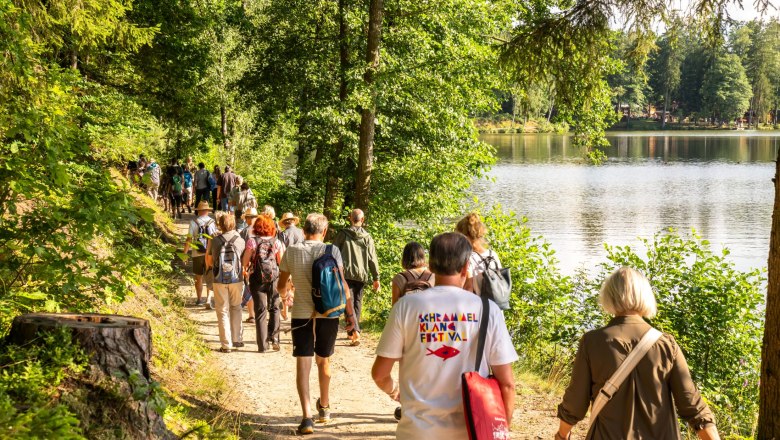 Schrammel.Klang.Festival Litschau, © Niederösterreich Werbung, Robert Herbst