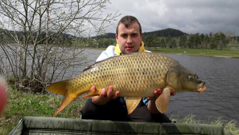 carp, &copy; Marktgemeinde Langschlag