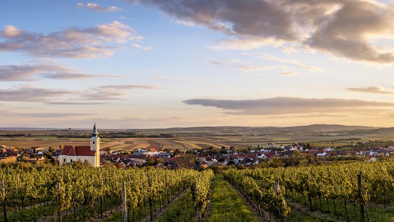 Blick auf Röschitz mit Kirche und Weinbergen im Vordergrund bei Sonnenuntergang.