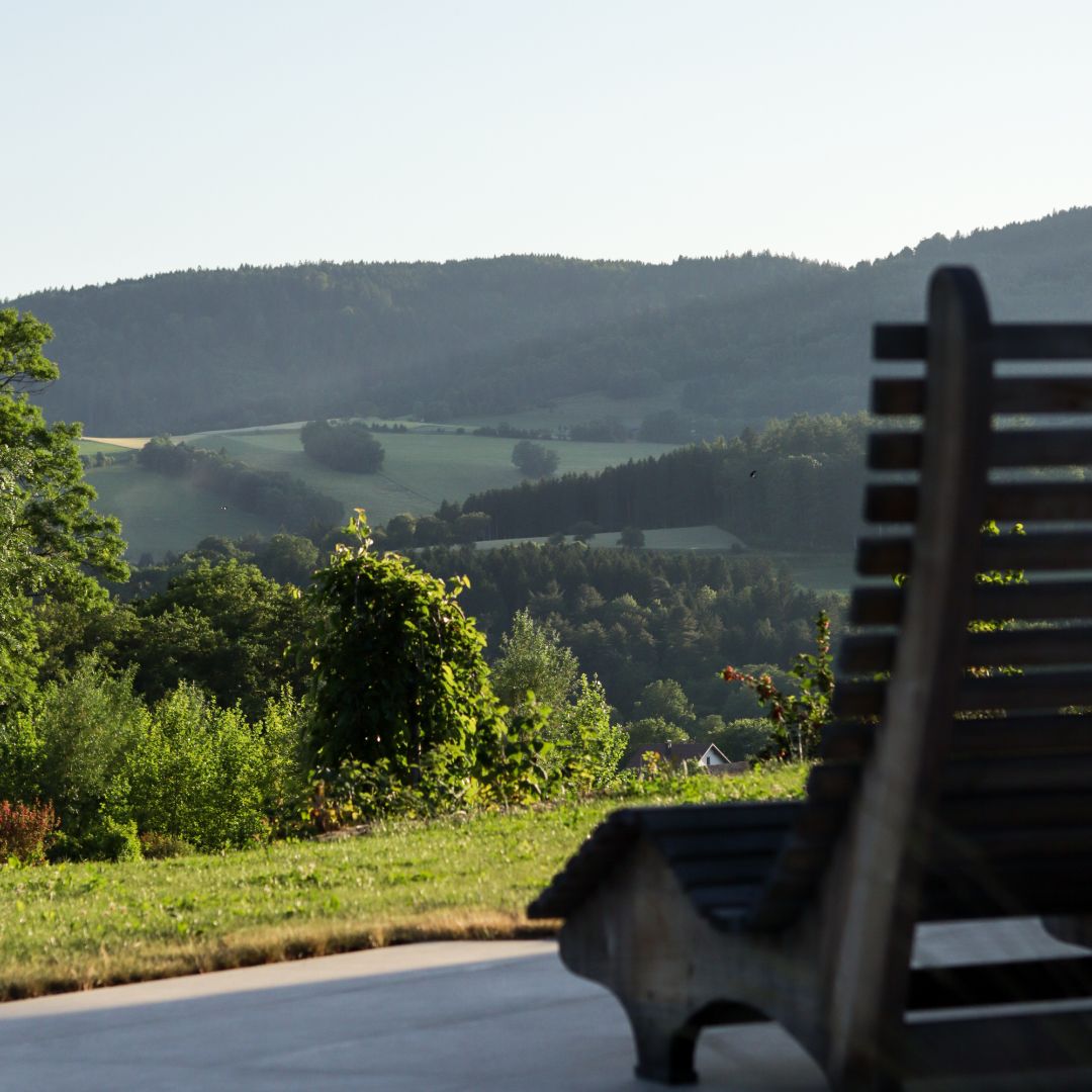 Holzbank mit Blick auf hügelige Landschaft und Bäume im Hintergrund.