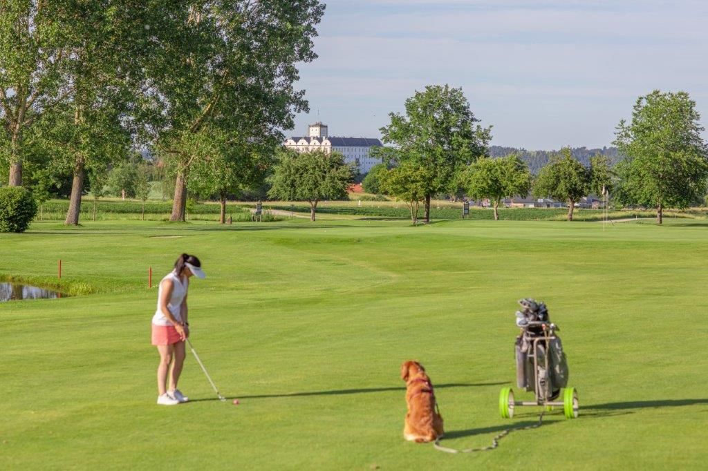 Golferin mit Hund auf grünem Golfplatz, Bäume und Gebäude im Hintergrund.