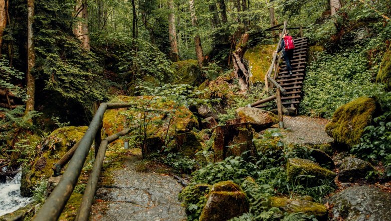 Ein Mann in gelber Jacke steht vor einem kleinen Wasserfall im Wald.
